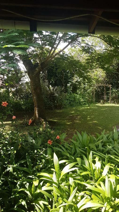 Отель Mulberry Lane Граскоп Экстерьер фото